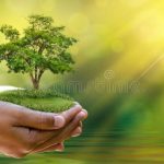 environment-earth-day-hands-trees-growing-seedlings-bokeh-green-background-female-hand-holding-t